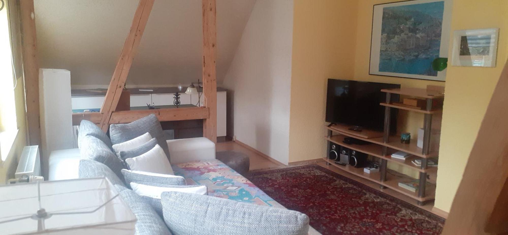 Apartment Im Harz *
